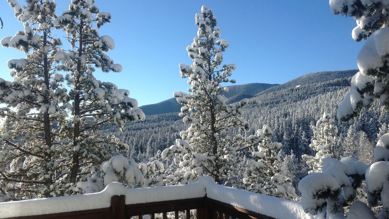 Photo of Others in Evergreen