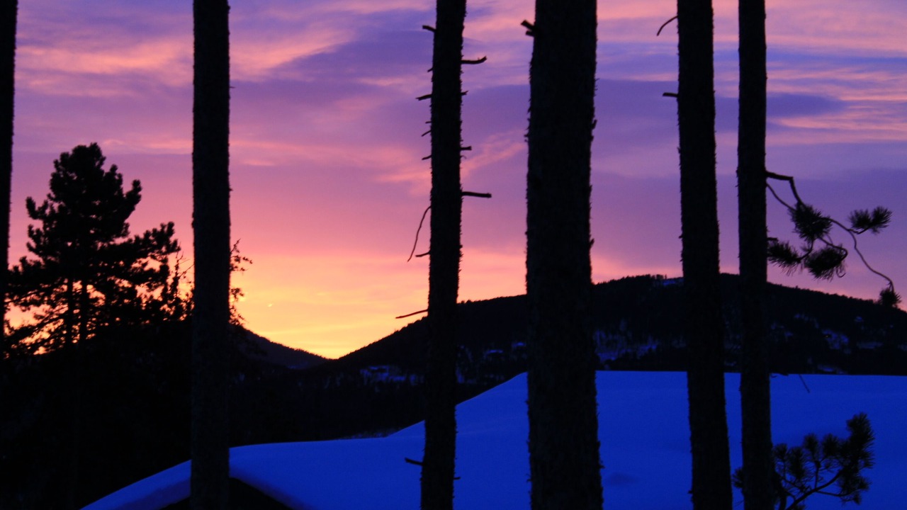 Photo of Others in Evergreen
