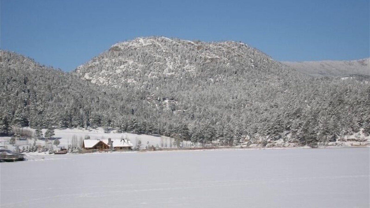 Photo of Outdoor in Evergreen