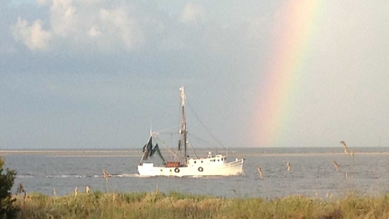 Photo of Others in Seabrook Island