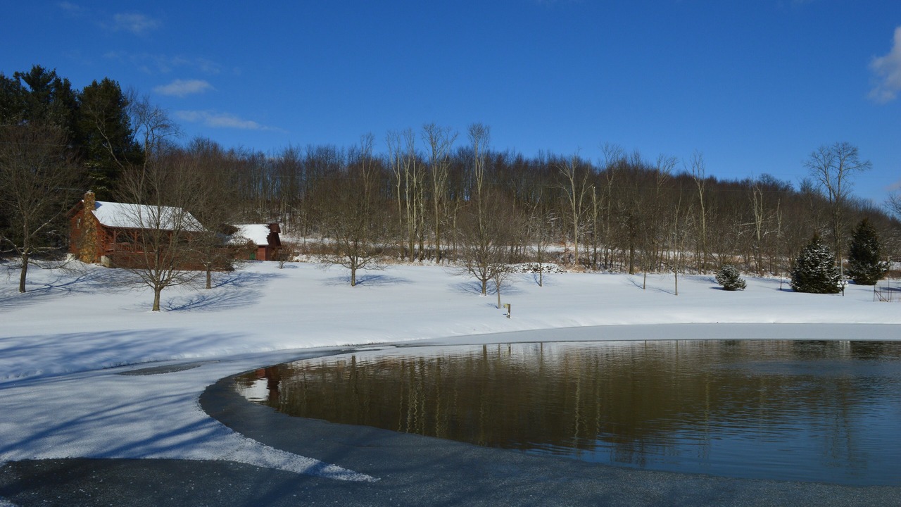 Photo of Others in Butler