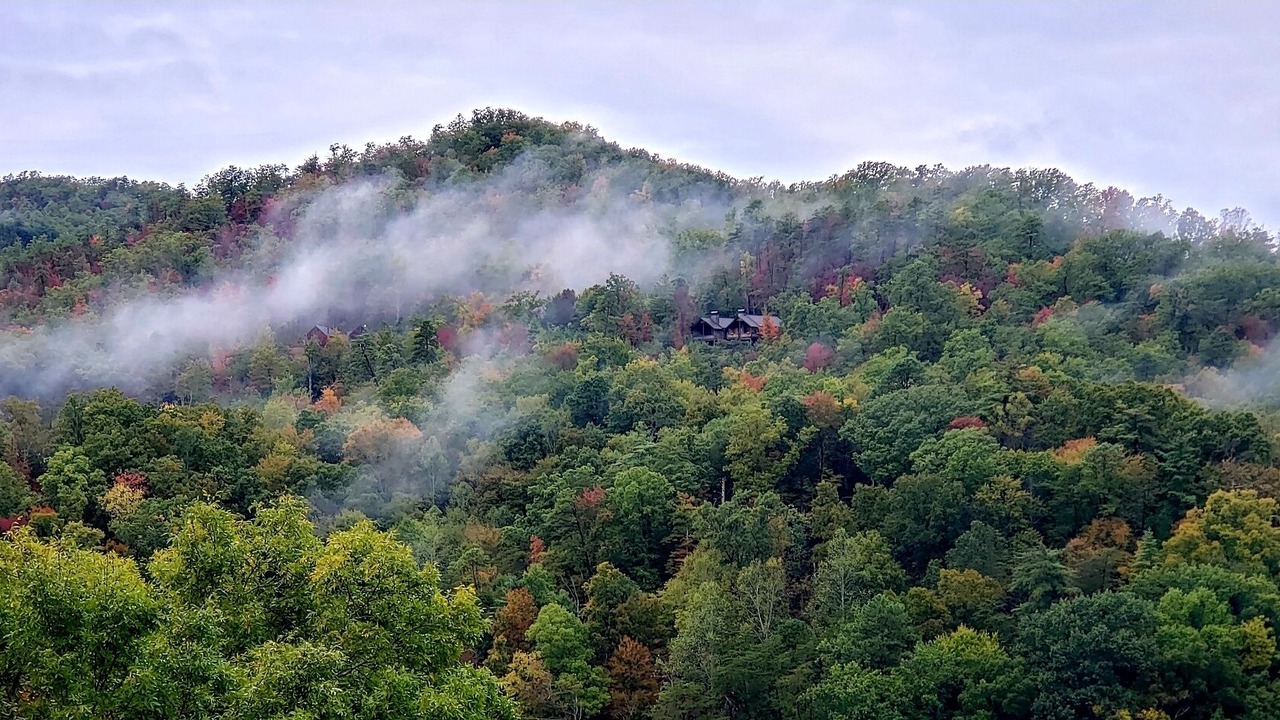 Photo of Outdoor in Wears Valley