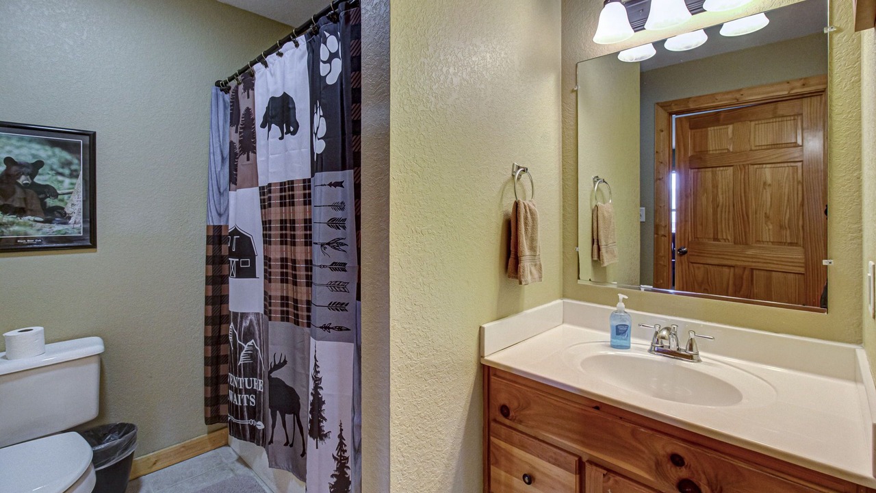 Photo of Bathroom in Wears Valley