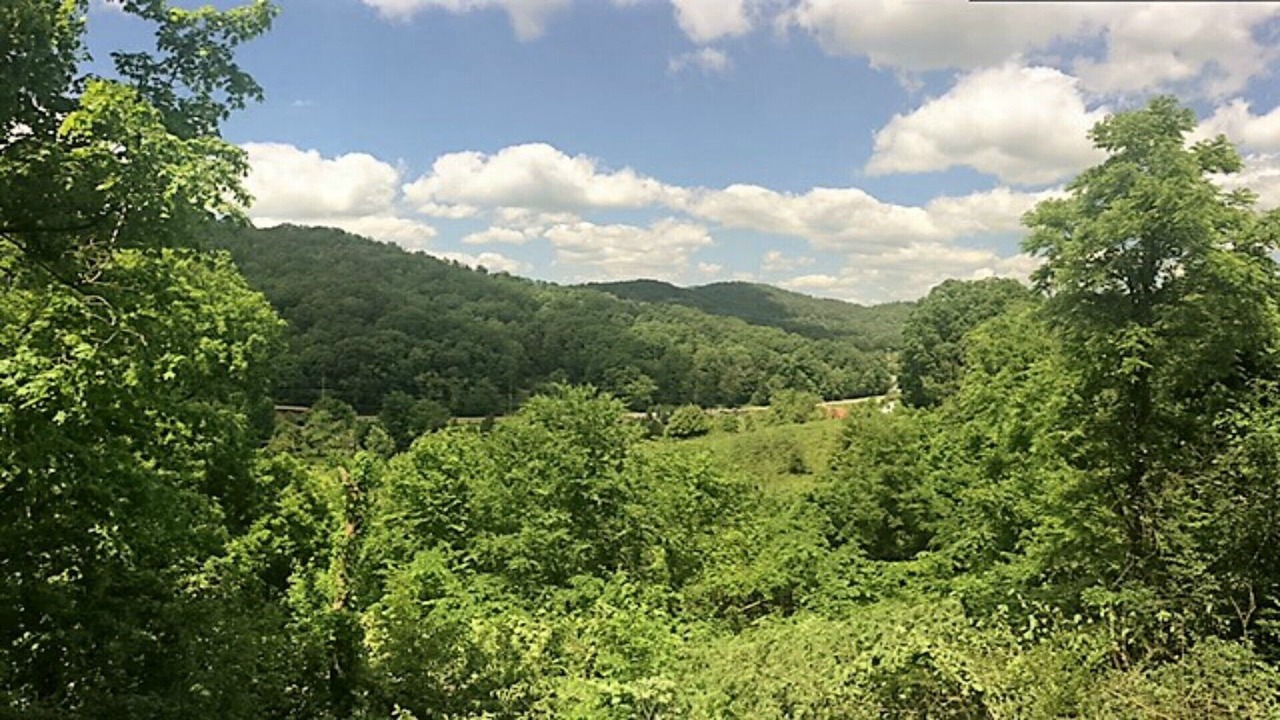 Photo of Others in Wears Valley