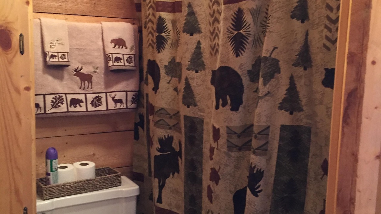 Photo of Bathroom in Creede