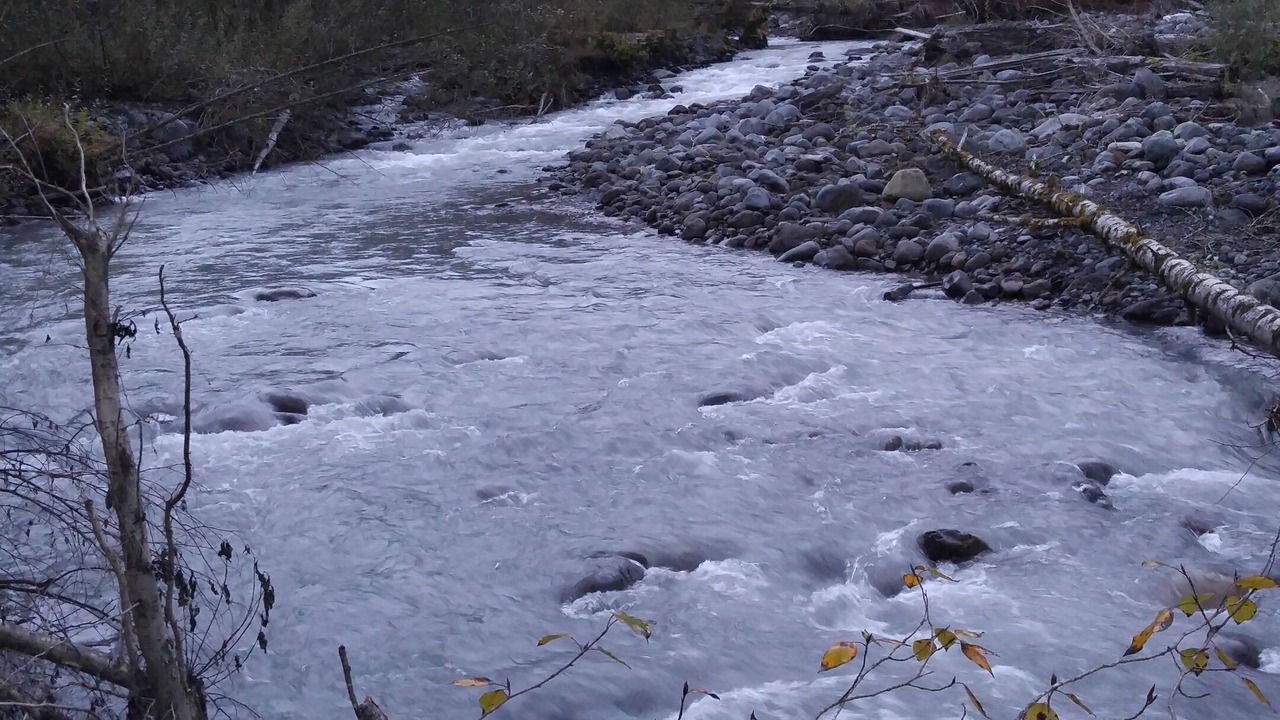Photo of Others in Glacier