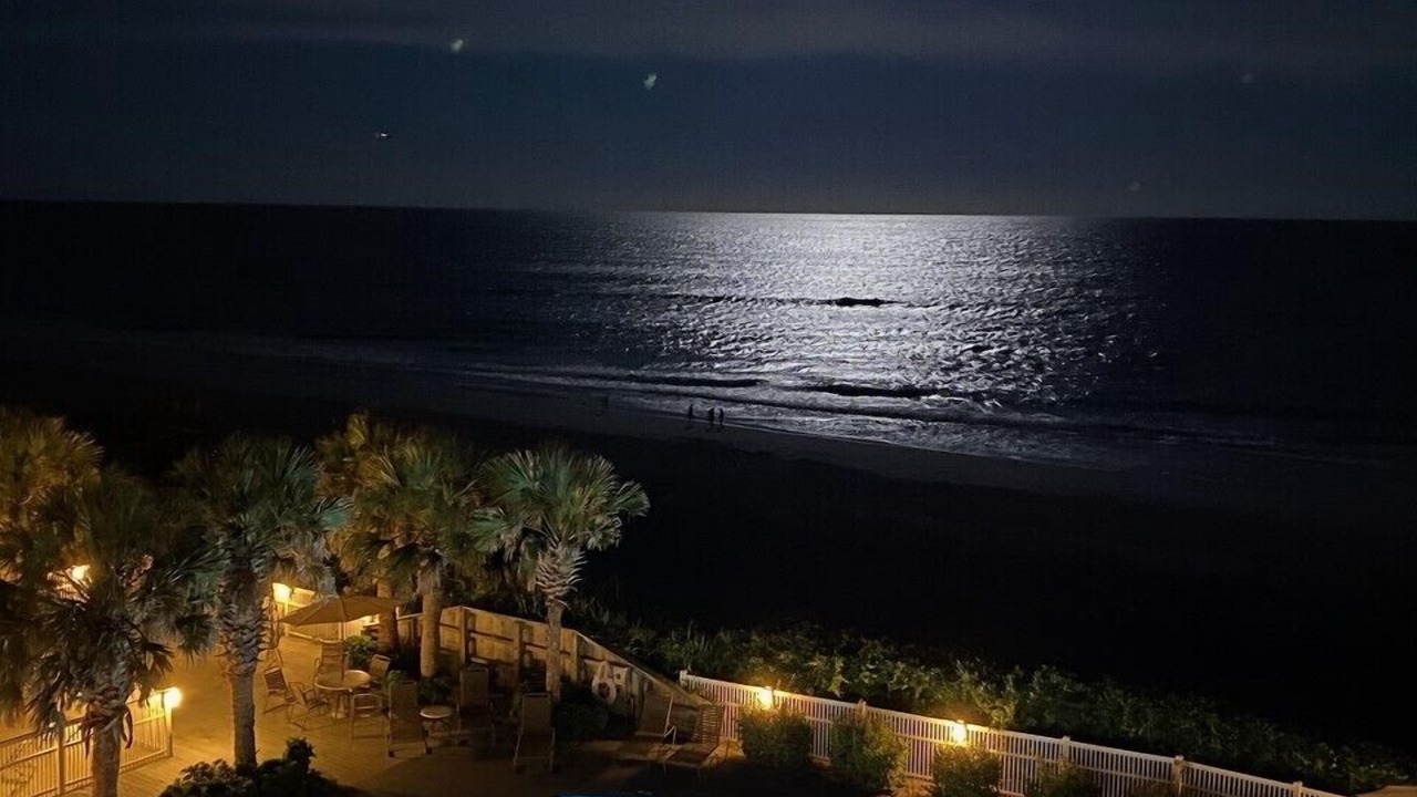 Photo of Others in Indian Beach