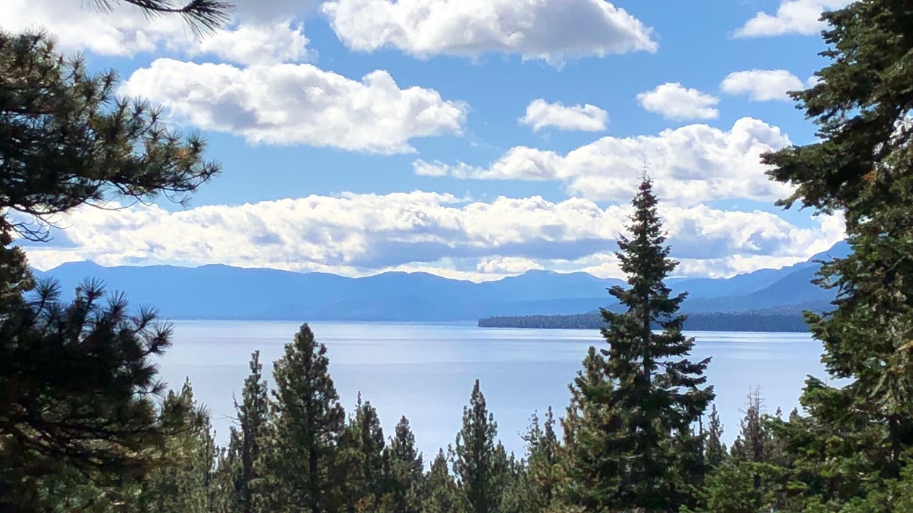 Photo of Outdoor in Tahoe Woods