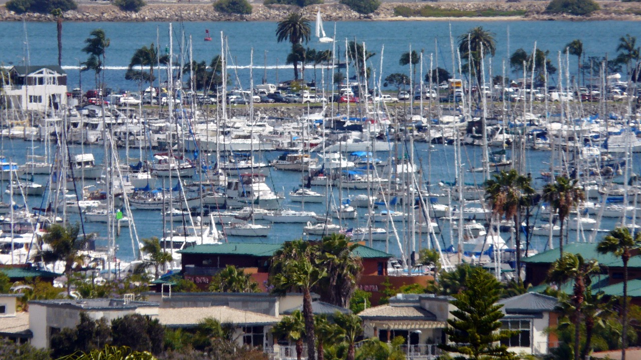 Photo of Others in Point Loma