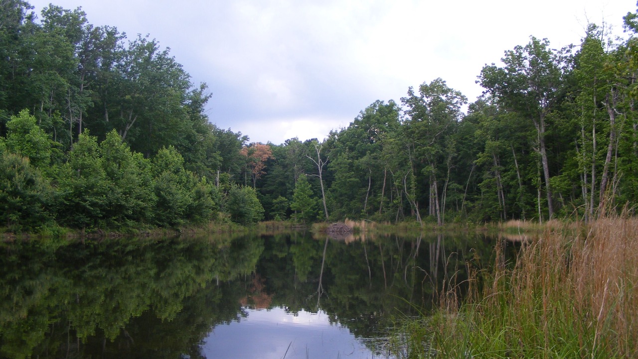 Photo of Others in Mentone