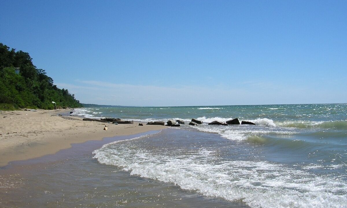 Photo of Others in Fennville