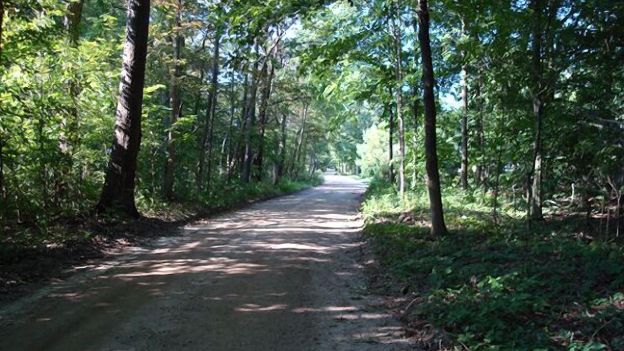 Photo of Others in Fennville