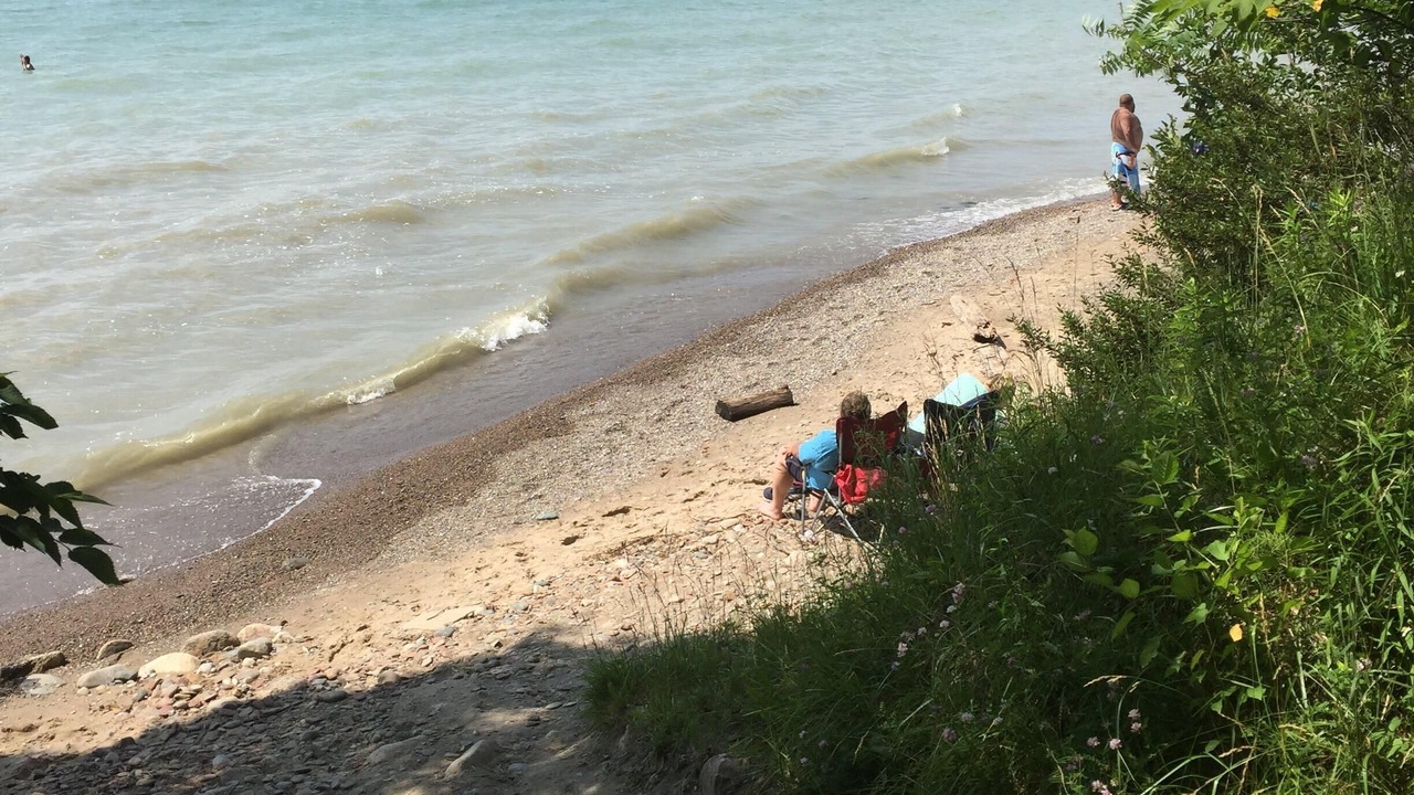 Photo of Others in Fennville