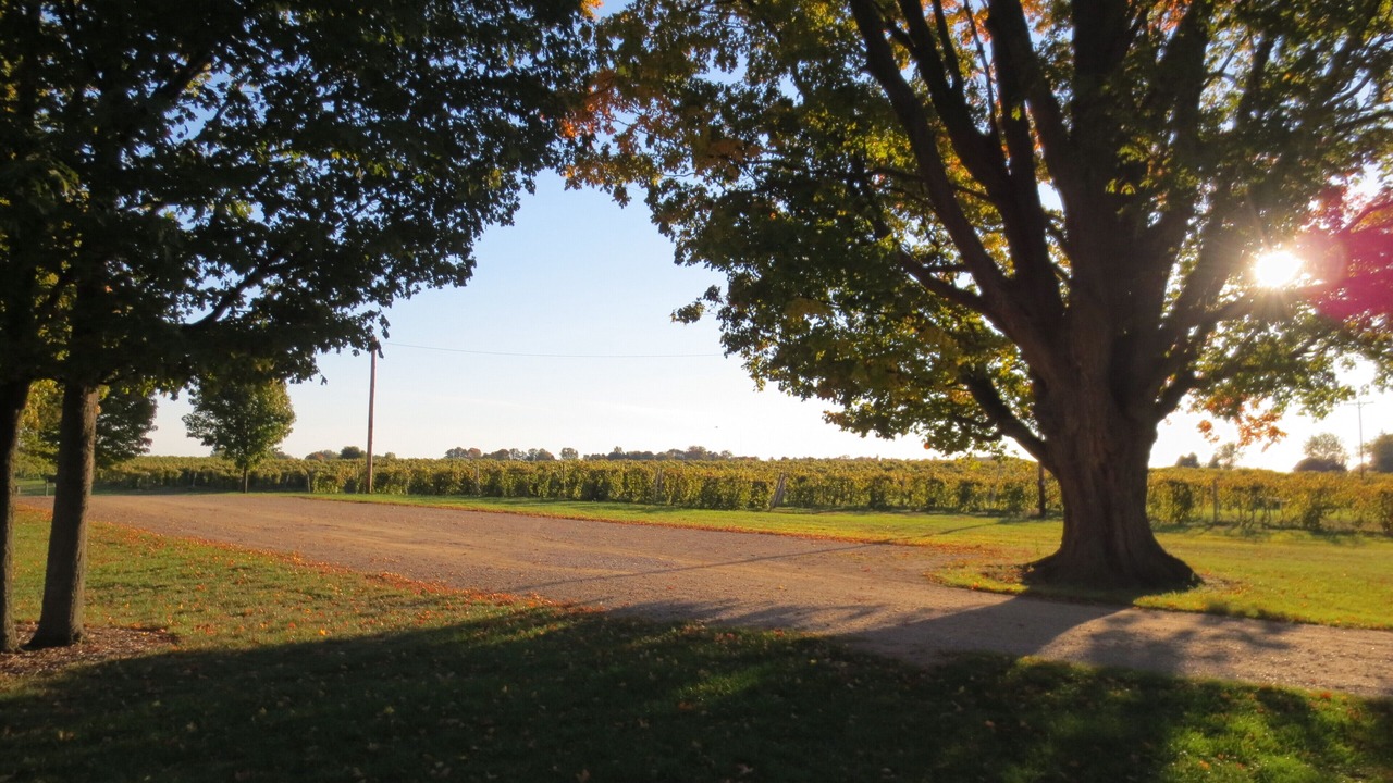 Photo of Others in Fennville