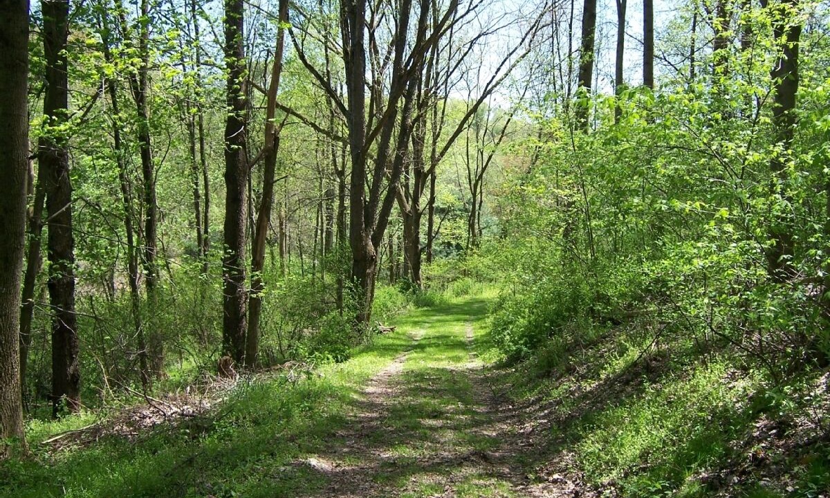Photo of Others in Deersville