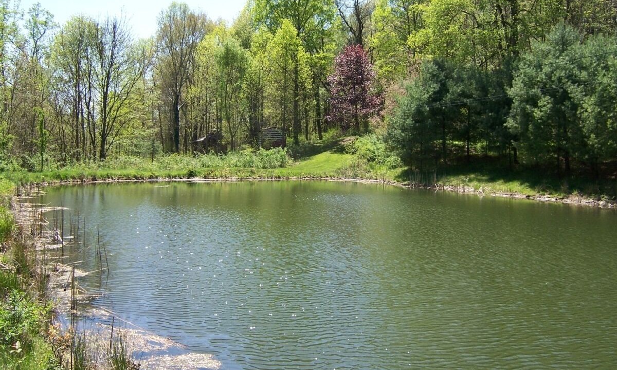Photo of Others in Deersville