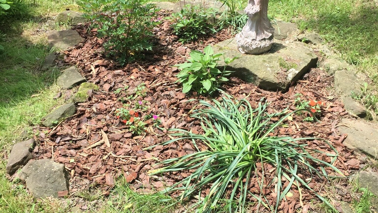 Photo of Outdoor in Deersville