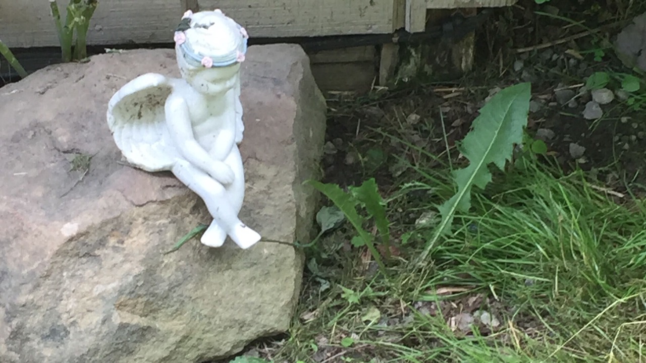 Photo of Outdoor in Deersville