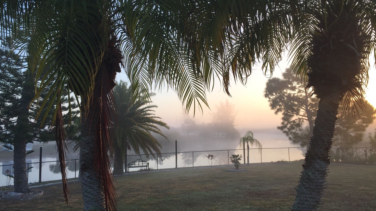 Photo of Others in South Gulf Cove