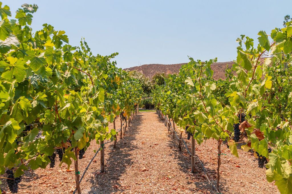 Photo of Outdoor in Temecula