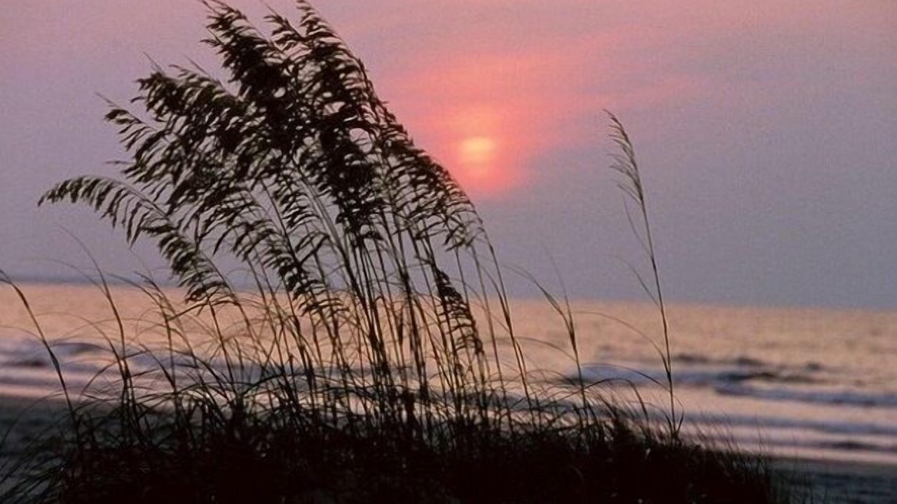 Photo of Others in Kure Beach