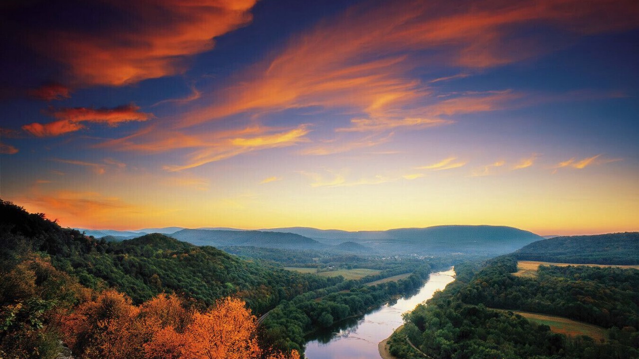 Photo of Others in Great Cacapon