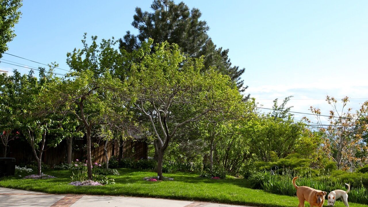 Photo of Outdoor in Cottonwood Heights