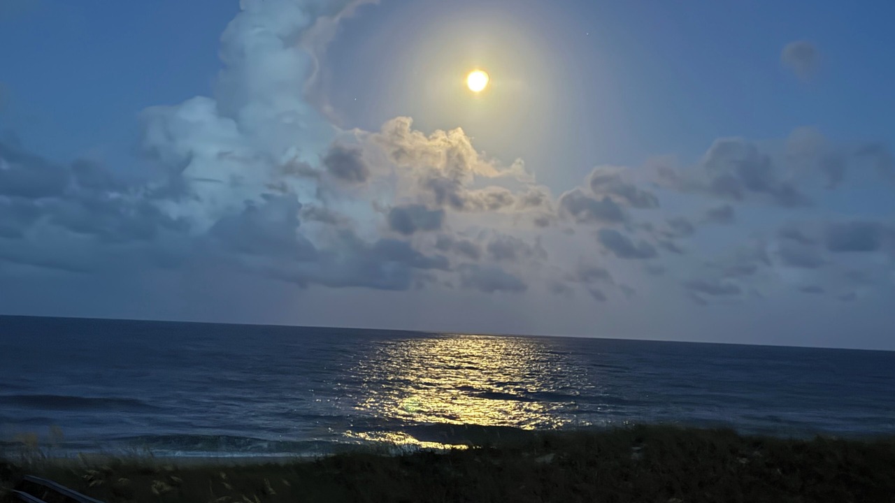 Photo of Others in North Carolina Coast