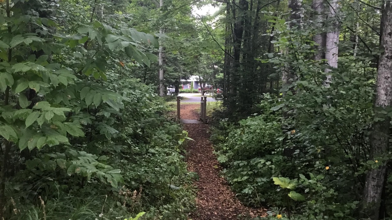 Photo of Outdoor in Bayfield