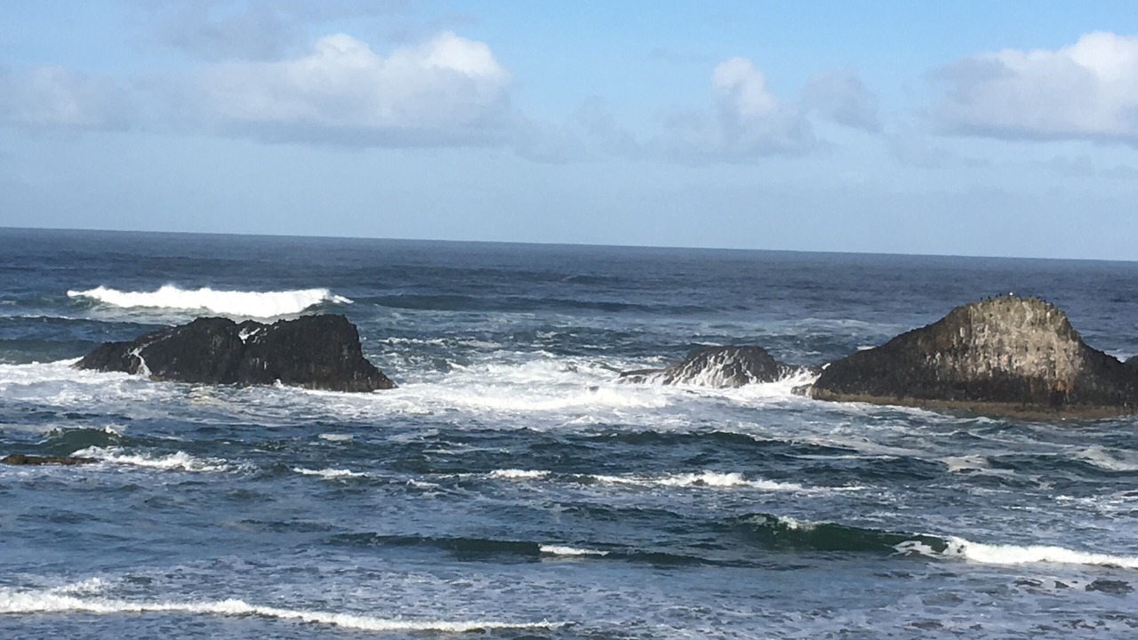 Photo of Others in Waldport