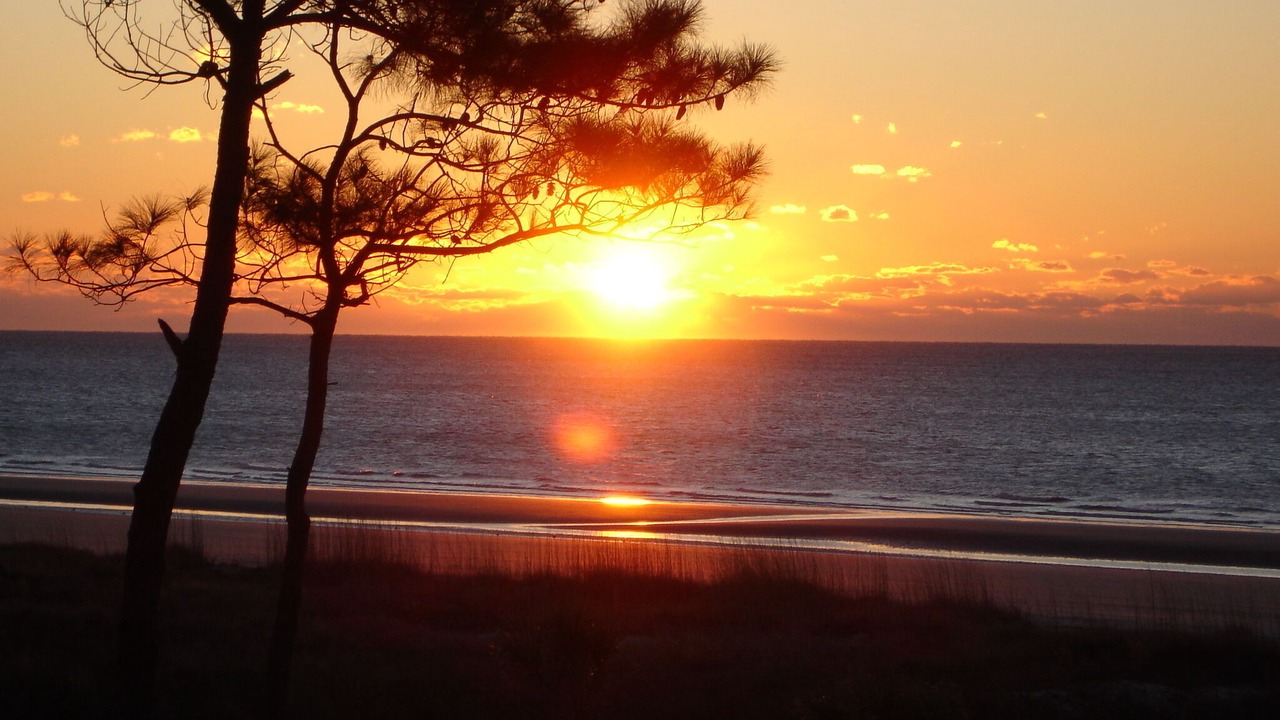Photo of Others in Hilton Head Island