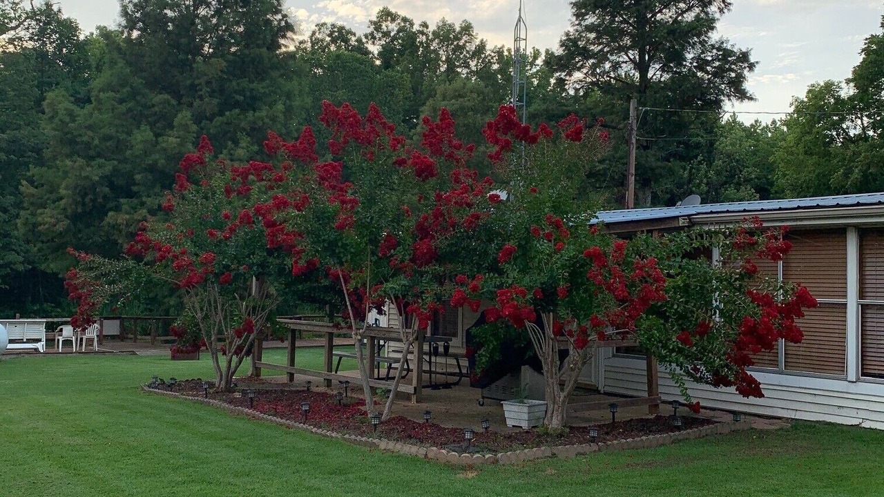 Photo of Outdoor in Wynnburg