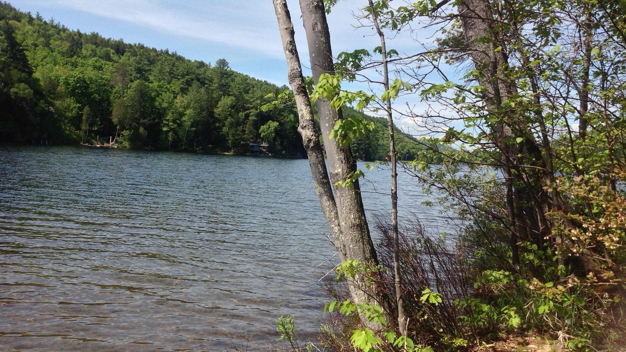 Photo of Outdoor in North Lake George