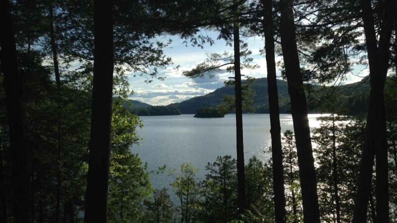 Photo of Others in North Lake George