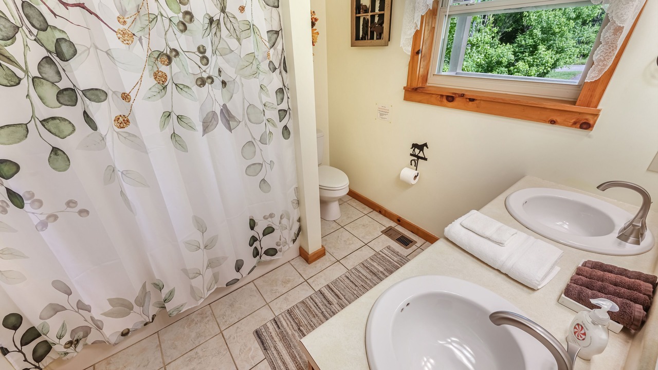 Photo of Bathroom in Sevierville
