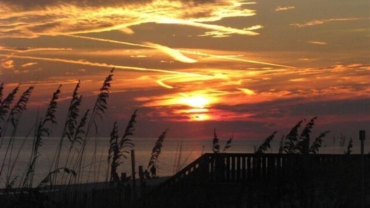 Photo of Others in Fort Walton Beach