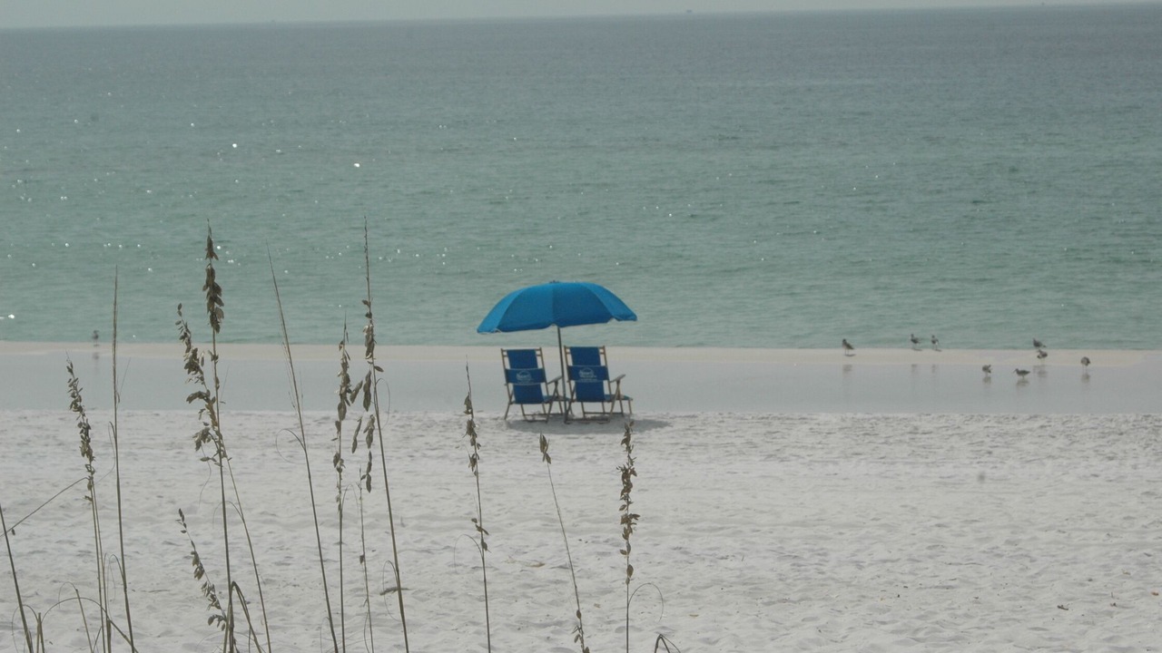 Photo of Others in Fort Walton Beach