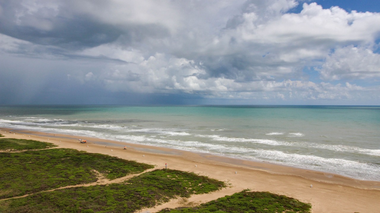 Photo of Others in South Padre Island