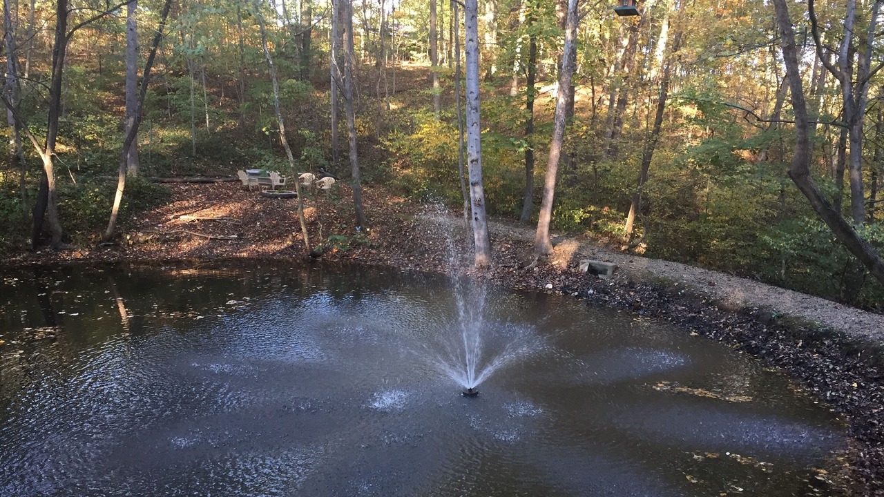 Photo of Outdoor in Rockbridge
