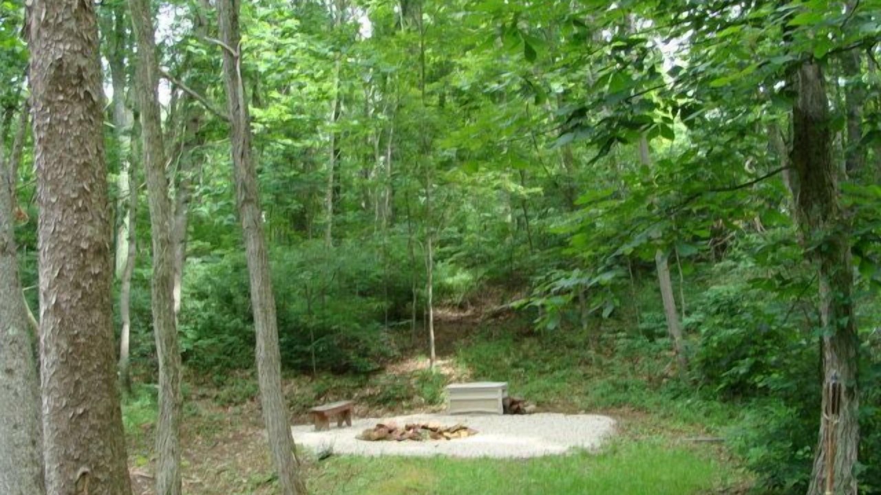 Photo of Outdoor in Rockbridge