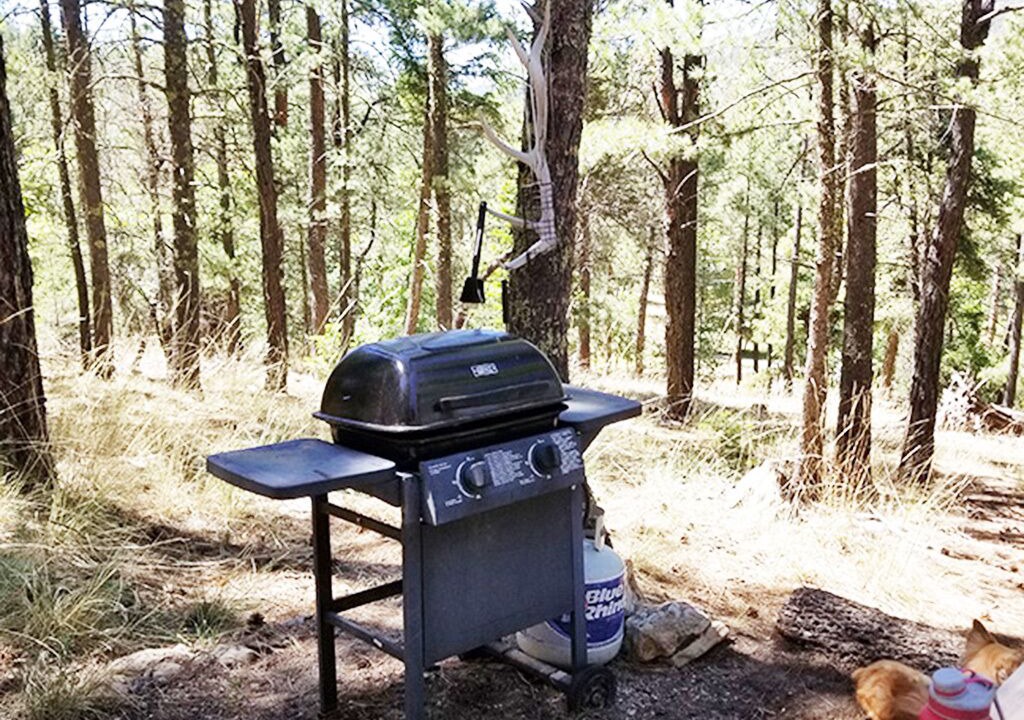 Photo of Outdoor in Mayhill