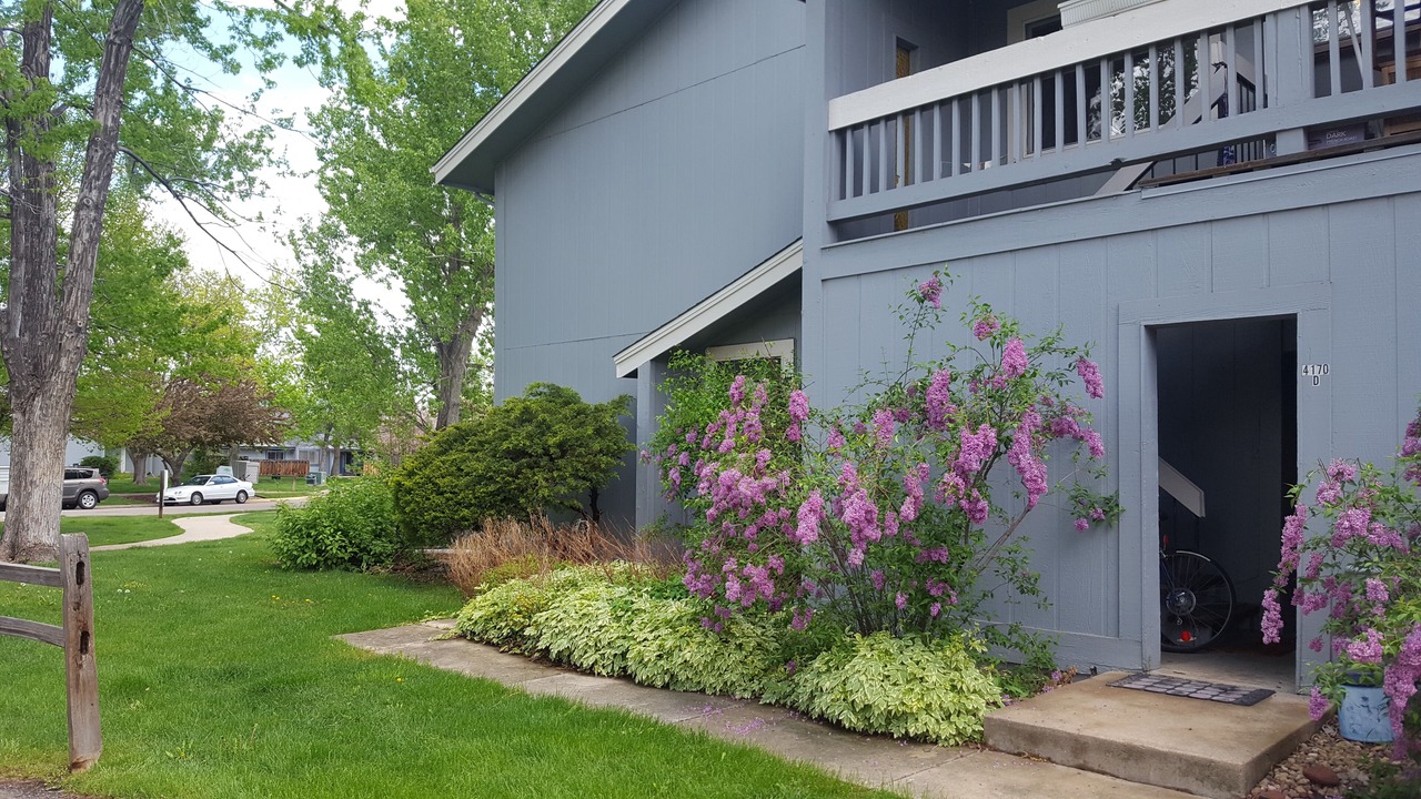 Photo of Outdoor in Park East