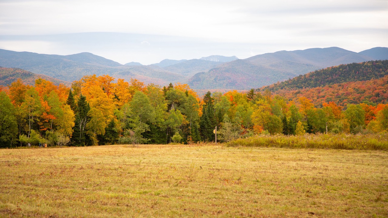 Photo of Outdoor in Lake Placid