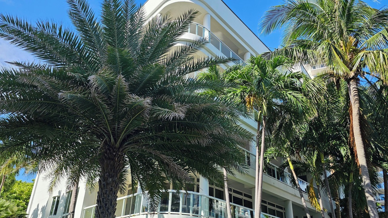 Photo of Outdoor in Central Beach