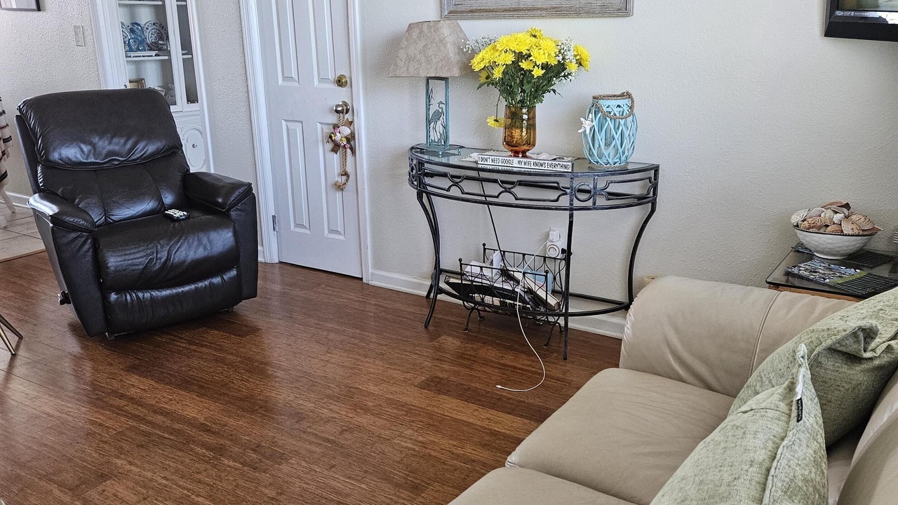 Photo of Livingroom in St. Pete Beach