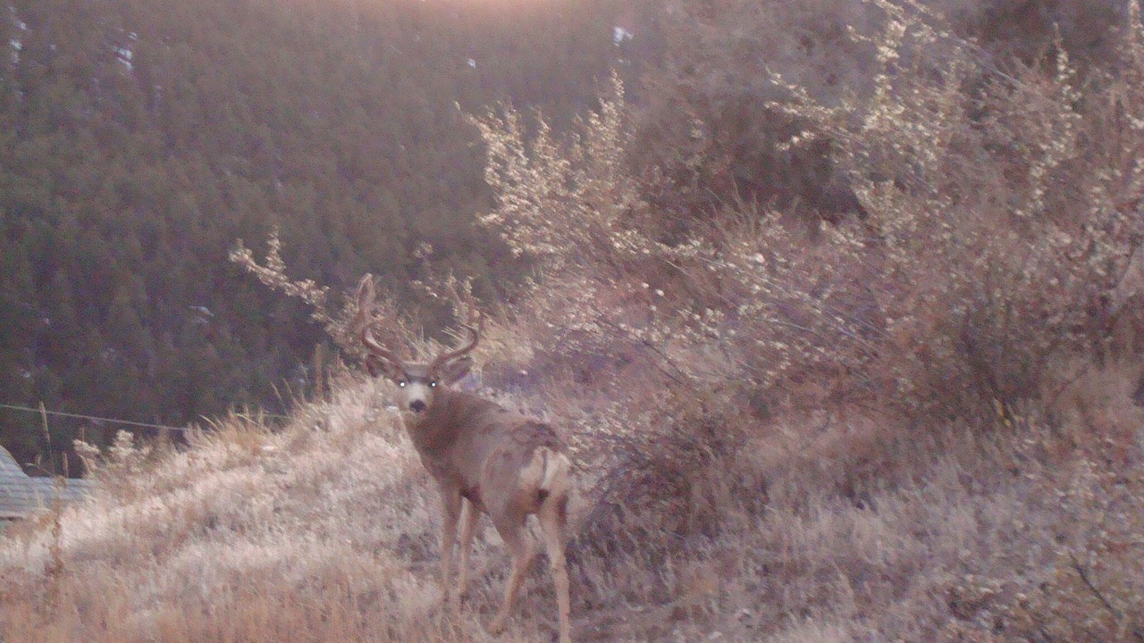 Photo of Others in Idaho Springs