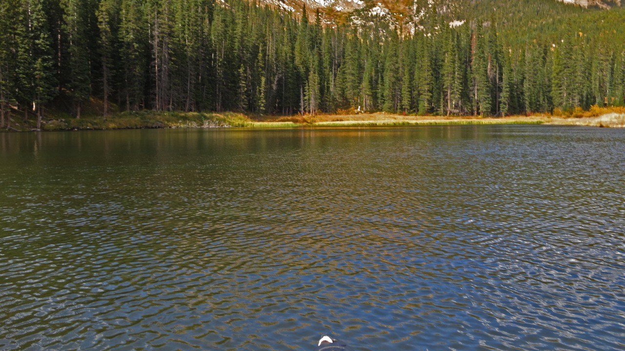 Photo of Outdoor in Saint Mary's
