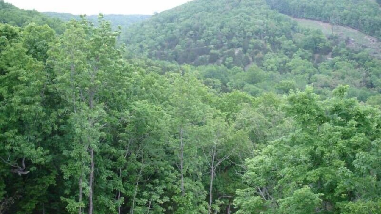 Photo of Others in Indian Point