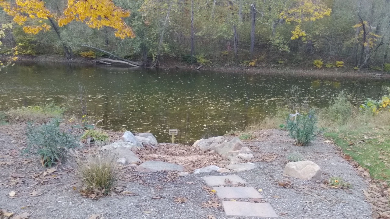 Photo of Others in Great Cacapon
