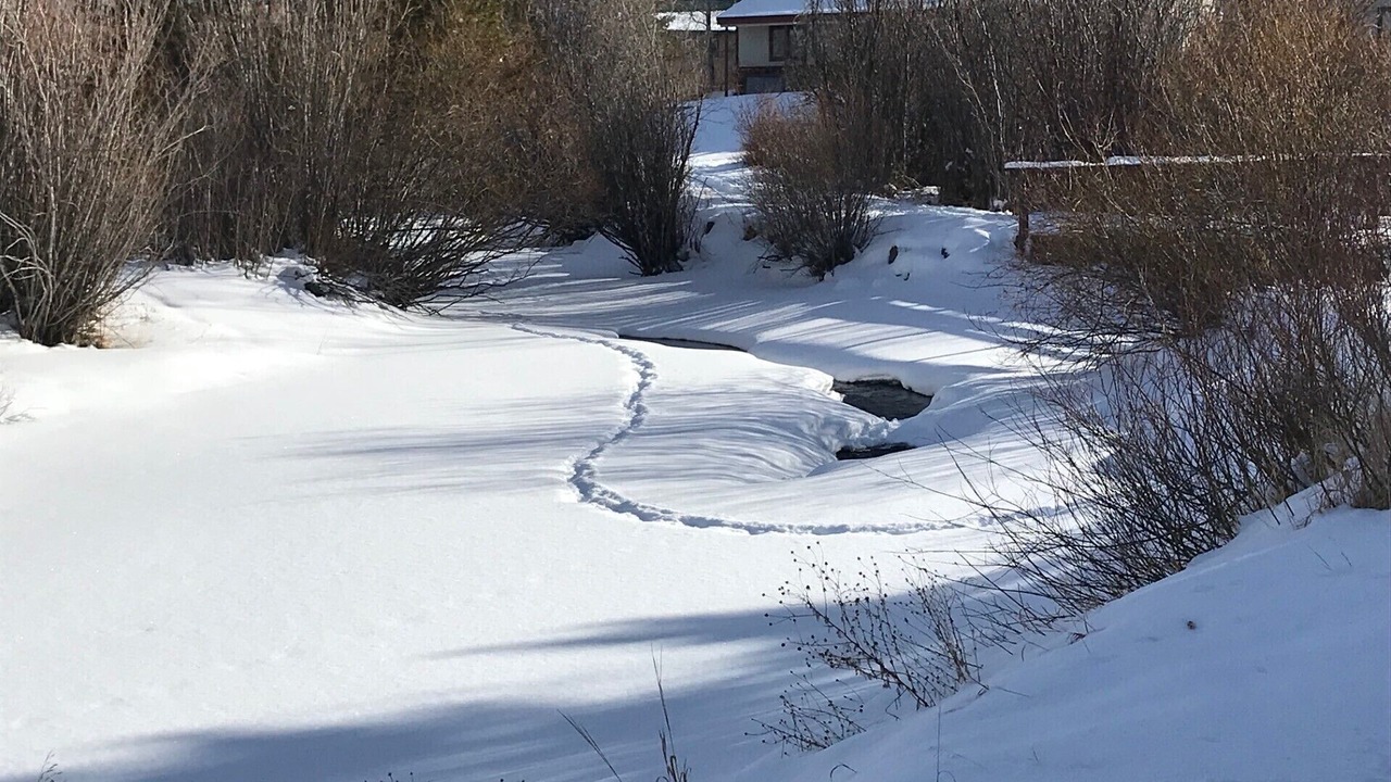 Photo of Others in Fraser